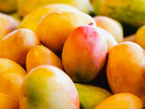 le-cameroun-dans-la-liste-des-pays-interdits-d-exporter-papayes-tomates-oranges-mangues-vers-l-europe