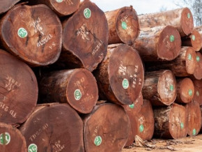 bois-et-hydrocarbures-font-baisser-les-exportations-1-au-cameroun-au-2e-trimestre-2022-ins