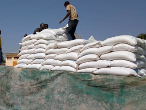 securite-alimentaire-l-etat-du-cameroun-va-financer-l-achat-de-10-000-tonnes-de-cereales-par-l-office-cerealier