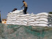 securite-alimentaire-l-etat-du-cameroun-va-financer-l-achat-de-10-000-tonnes-de-cereales-par-l-office-cerealier