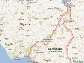 Les normes sur des produits à l’entrée du Nigéria creusent le déficit commercial avec le Cameroun
