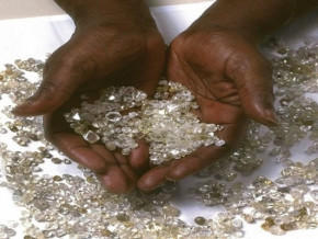 or-et-diamant-le-cameroun-veut-harmoniser-les-methodes-de-lutte-contre-la-contrebande-dans-les-aeroports