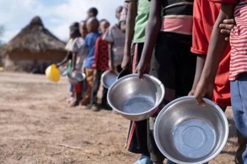 En 2024, le Cameroun prévoit de consacrer plus de 22 milliards de FCFA à la lutte contre la crise alimentaire
