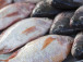 poissons-avec-pres-de-170-000-tonnes-en-2022-le-cameroun-augmente-sa-production-de-13-en-glissement-annuel