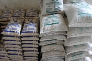 Le Cameroun lance la promotion du riz local pour stimuler sa consommation