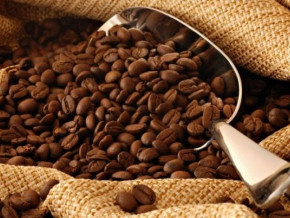 cafe-le-prix-du-robusta-a-atteint-900-fcfa-le-kg-au-cameroun-au-cours-de-la-campagne-2020-2021