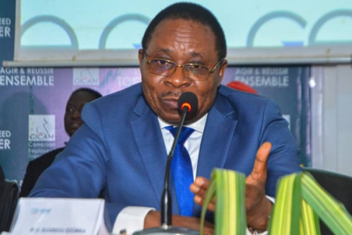 Délestages : Gaston Eloundou Essomba prie les entreprises de supporter jusqu’au retour des pluies