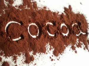 L’industrie européenne du cacao a rendez-vous demain avec les producteurs camerounais