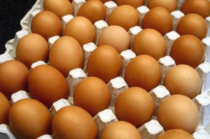 L’insécurité dans l’Extrême-Nord et aux frontières avec la RCA créée une augmentation de l’offre d’œufs de table au Cameroun