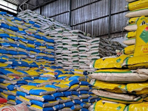 riz-ble-meteil-les-importations-du-cameroun-ont-coute-plus-de-525-milliards-de-fcfa-en-2022