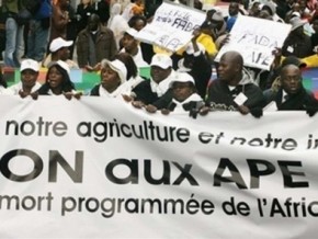 Le Parlement camerounais autorise le président de la République à ratifier l’APE d’étape avec l’UE