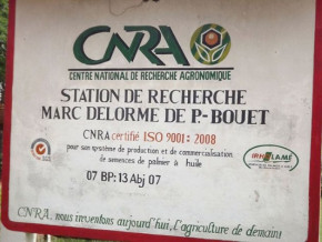 huile-de-palme-le-centre-de-recherche-agronomique-de-cote-d-ivoire-sollicite-pour-un-projet-a-l-est-cameroun