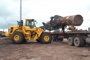 Plus de 2 milliards de Fcfa d’investissements pour décongestionner le parc à bois du port de Douala
