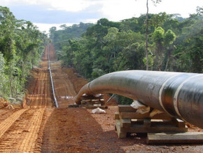 pipeline-tchad-cameroun-tensions-a-cotco-ou-n-djamena-tente-d-expulser-savannah-energy-de-l-actionnariat